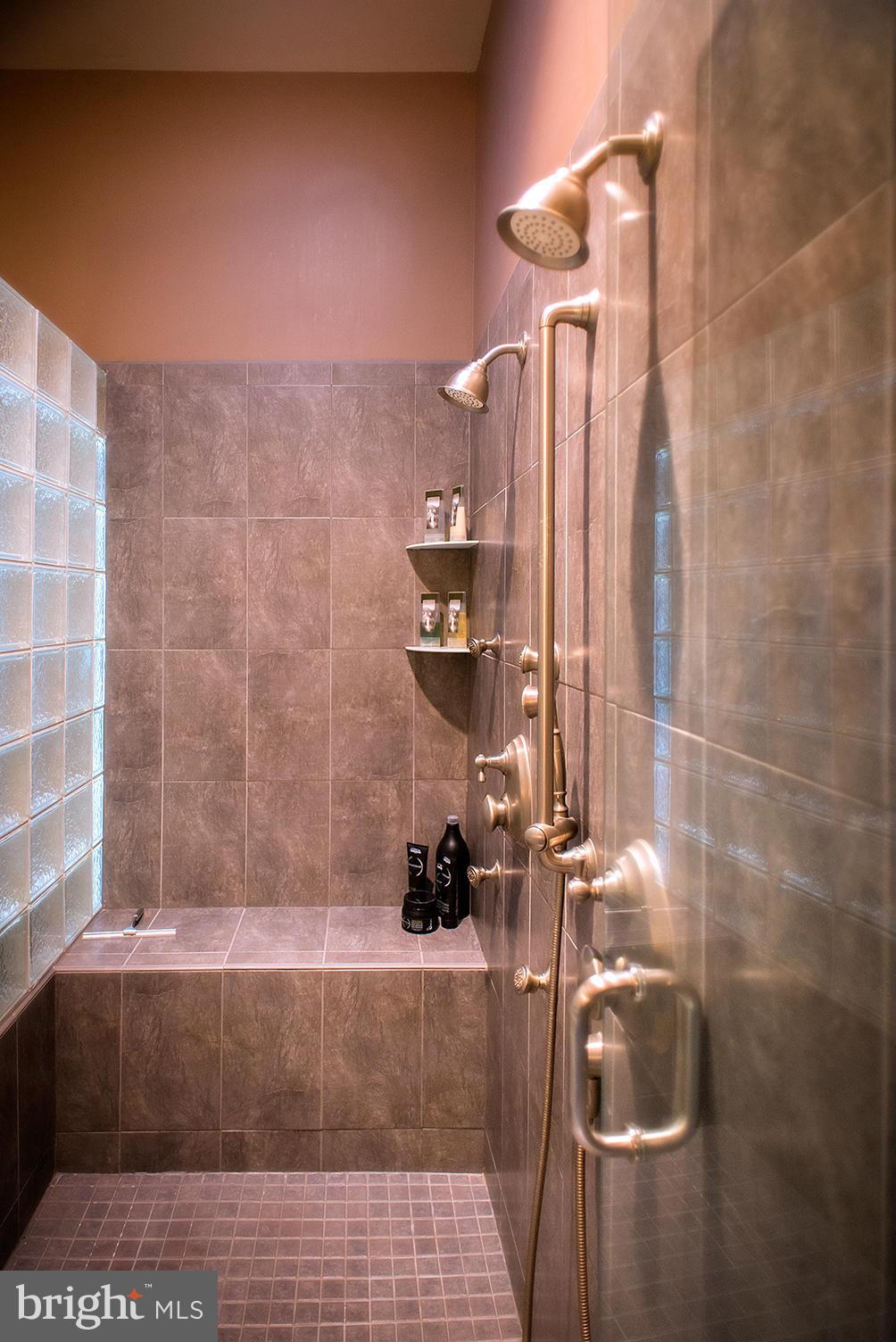 8952 Hawbottom Road Middletown, MD 21769 - Photo 20 of 30 Bath (Master)