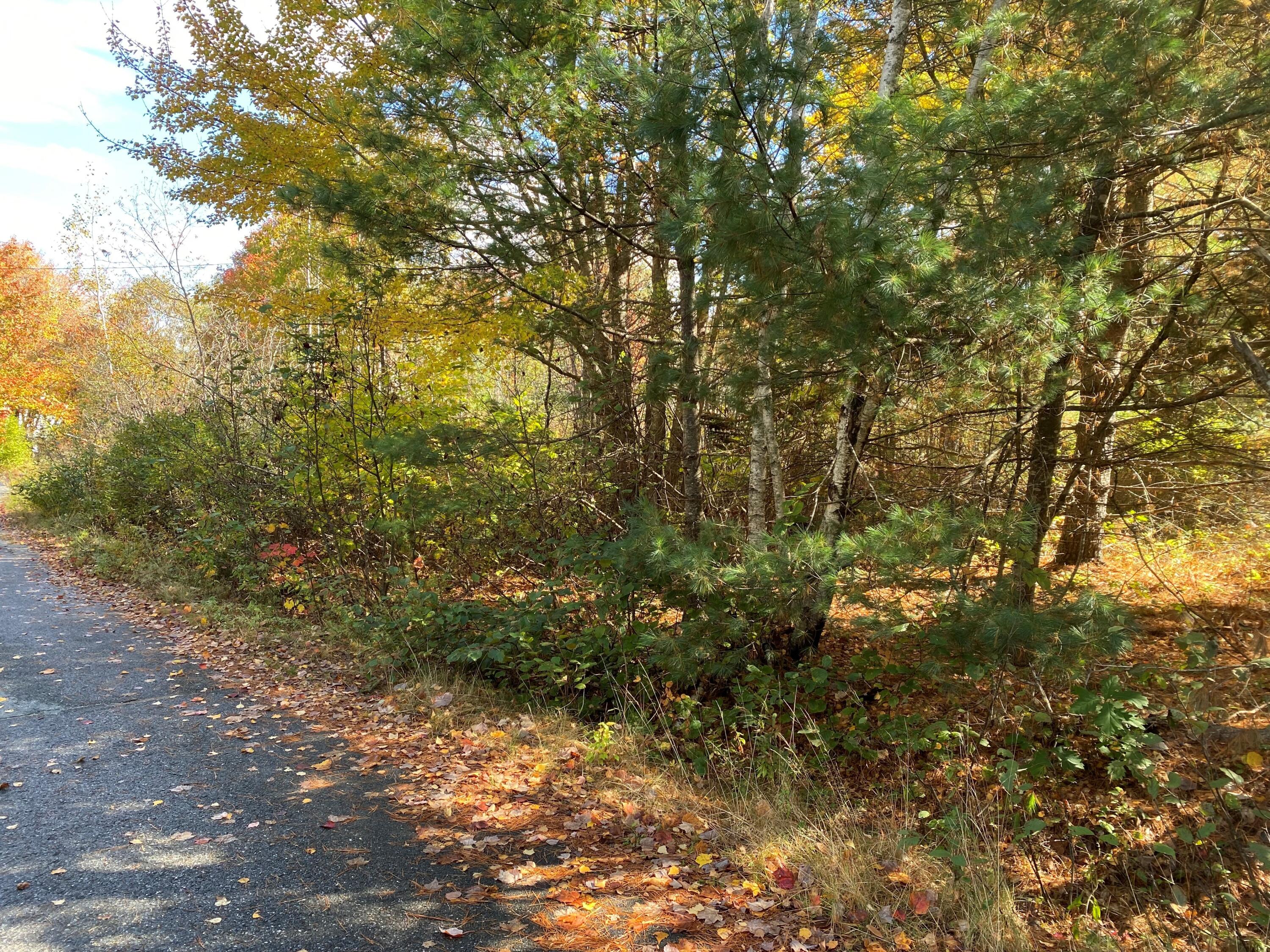 2 Joy Road Gouldsboro, ME 04607 - Photo 2 of 3 Trombley1