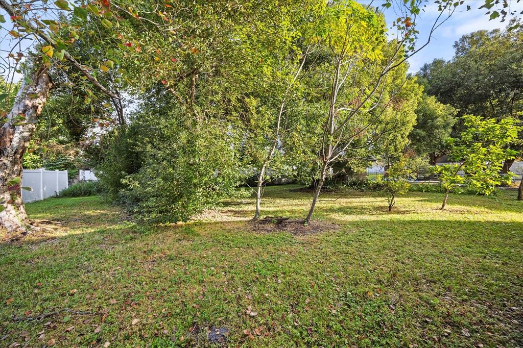115 West Fillmore Avenue Orlando, FL 32809 - Photo 22 of 23 a backyard of a house with lots of green space