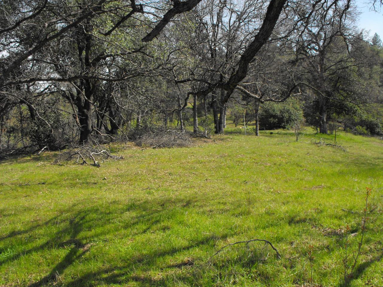 14595 Dry Creek Road Redding, CA 96003 - Photo 1 of 4 Photo 1