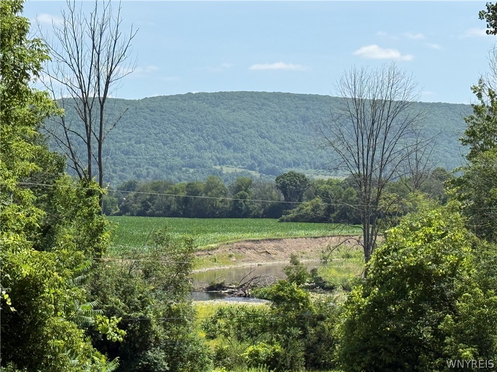4565 Back River Road Amity, NY 14813 - Photo 27 of 37