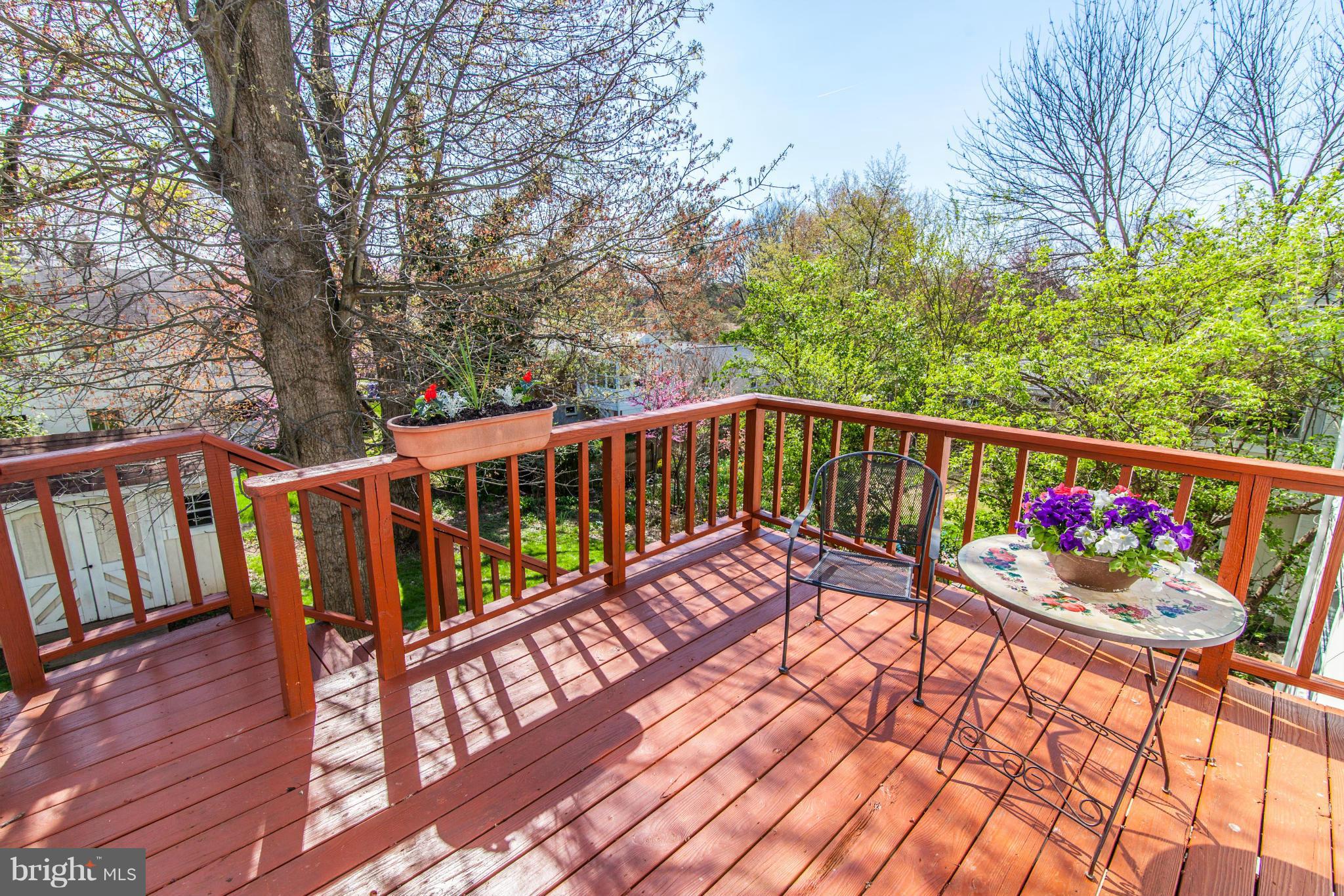 8514 Grubb Road Chevy Chase, MD 20815 - Photo 19 of 30 Deck with steps to yard and patio