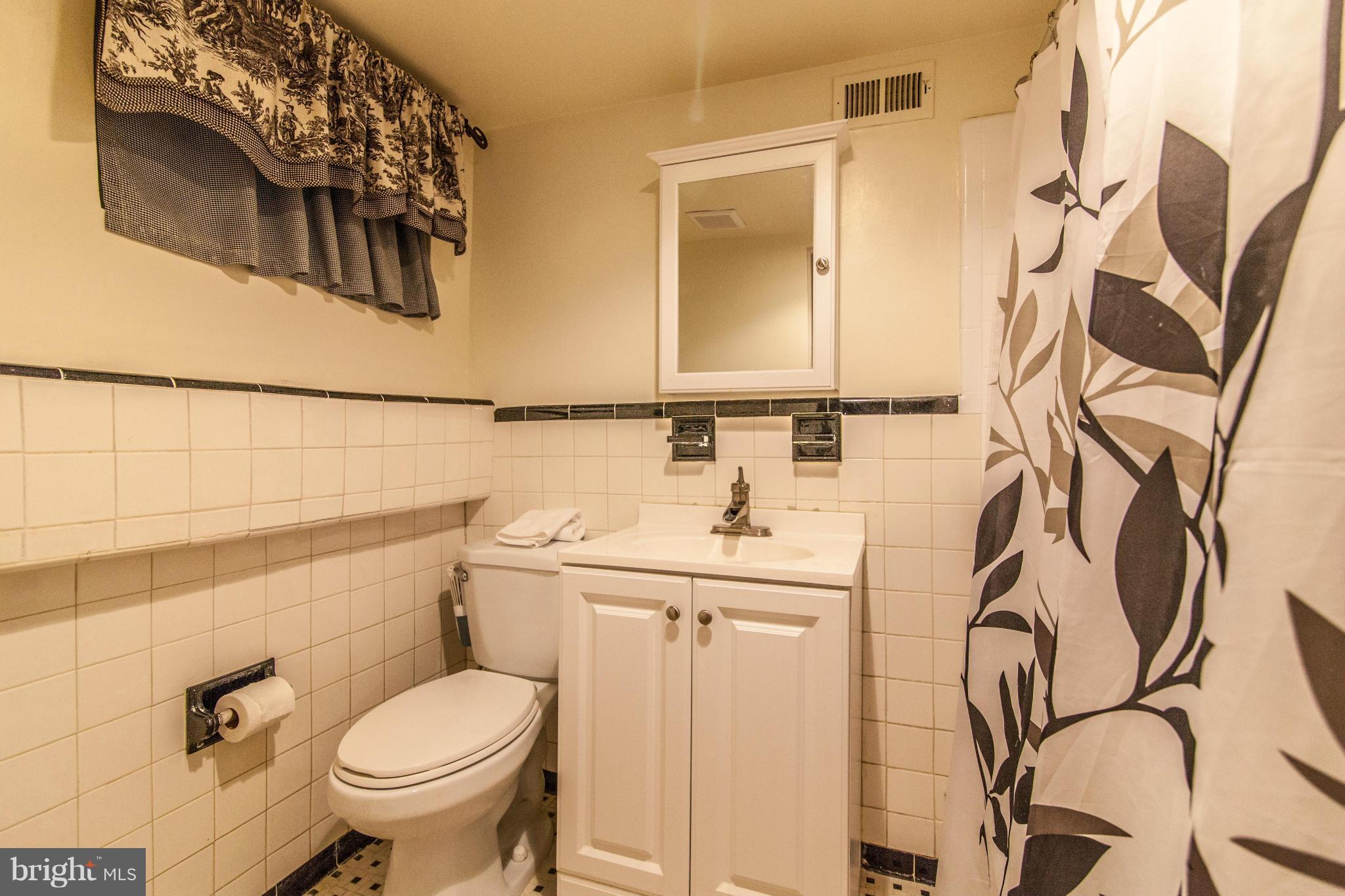 8514 Grubb Road Chevy Chase, MD 20815 - Photo 23 of 30 Bath 2 - lower level - tub/shower