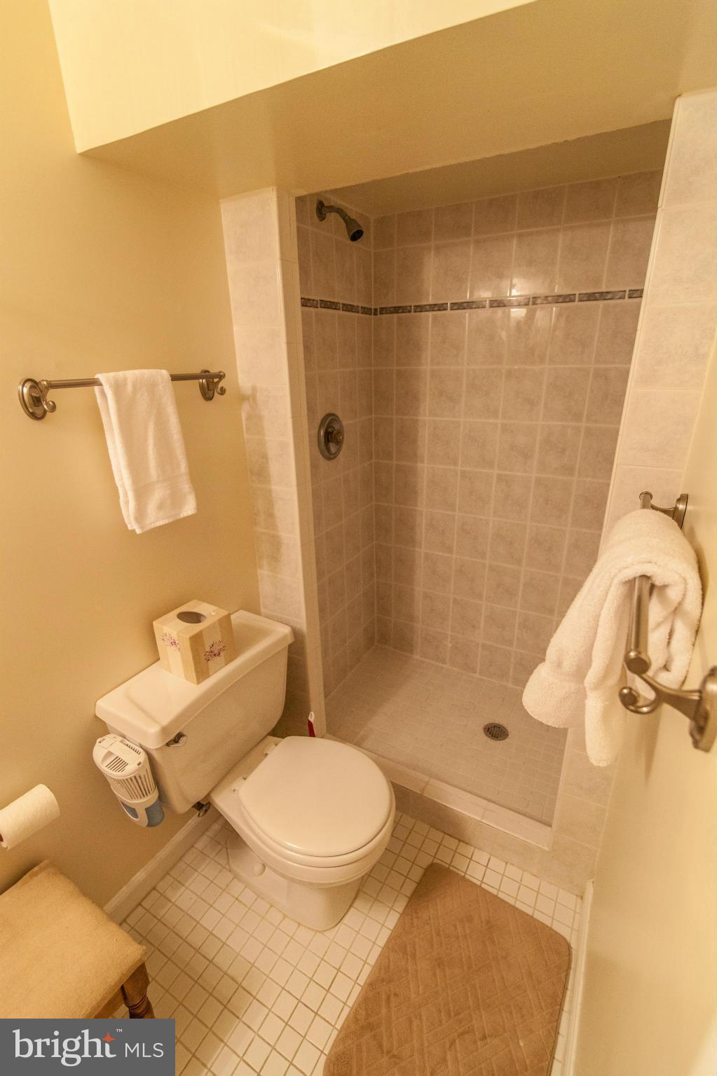 8514 Grubb Road Chevy Chase, MD 20815 - Photo 25 of 30 Bath #3 - lower level