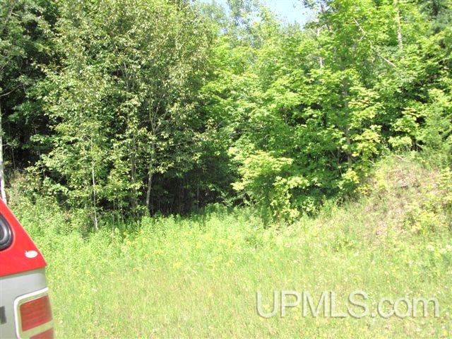 Tbd Tbd Co Road Chatham, MI 49816 - Photo 3 of 5