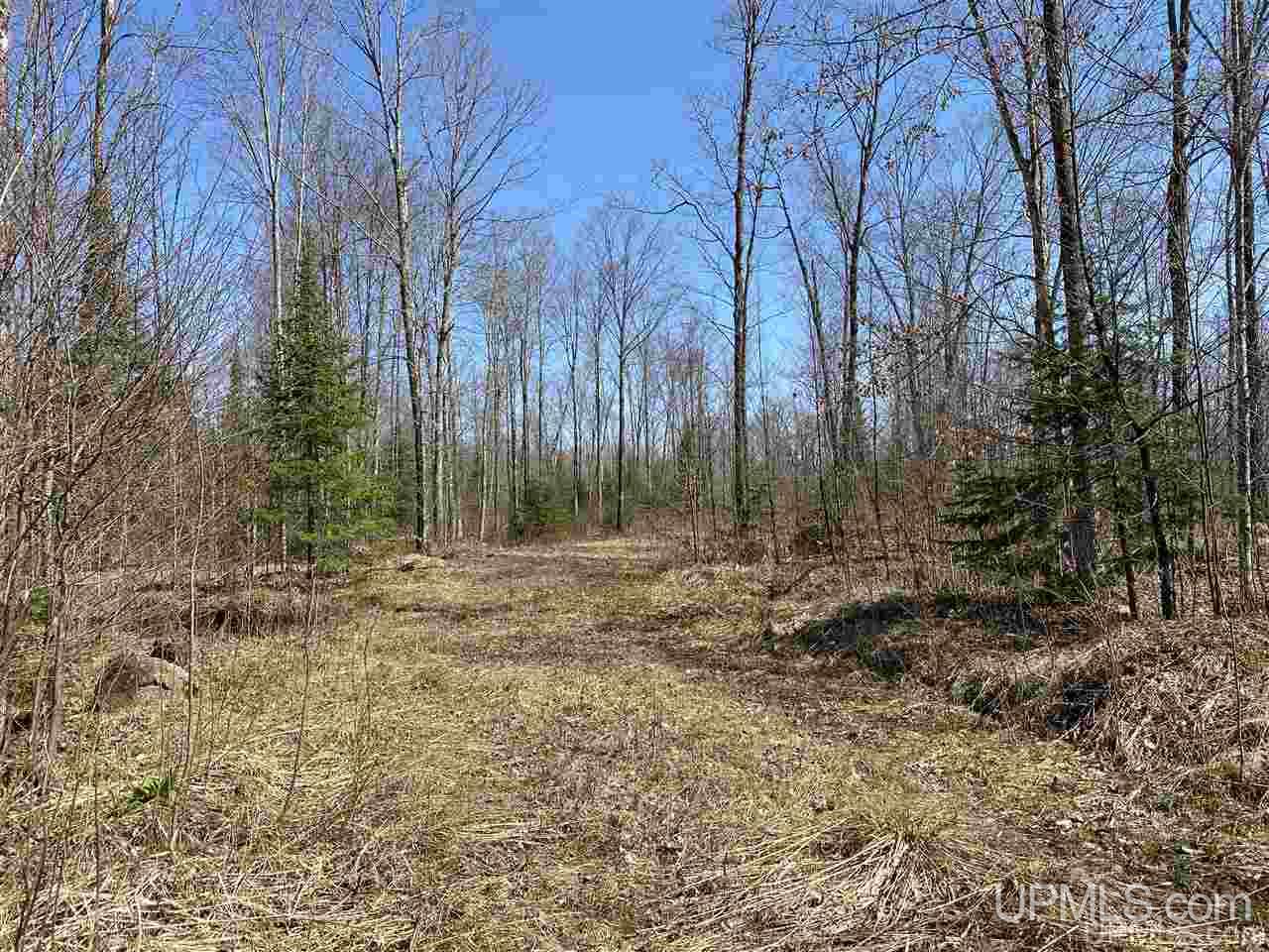 Off Nelson Road Glidden, WI 54527 - Photo 10 of 23