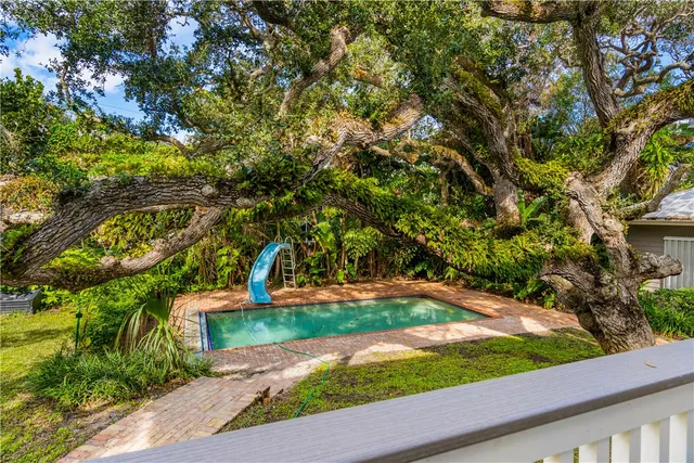 a view of a garden with plants