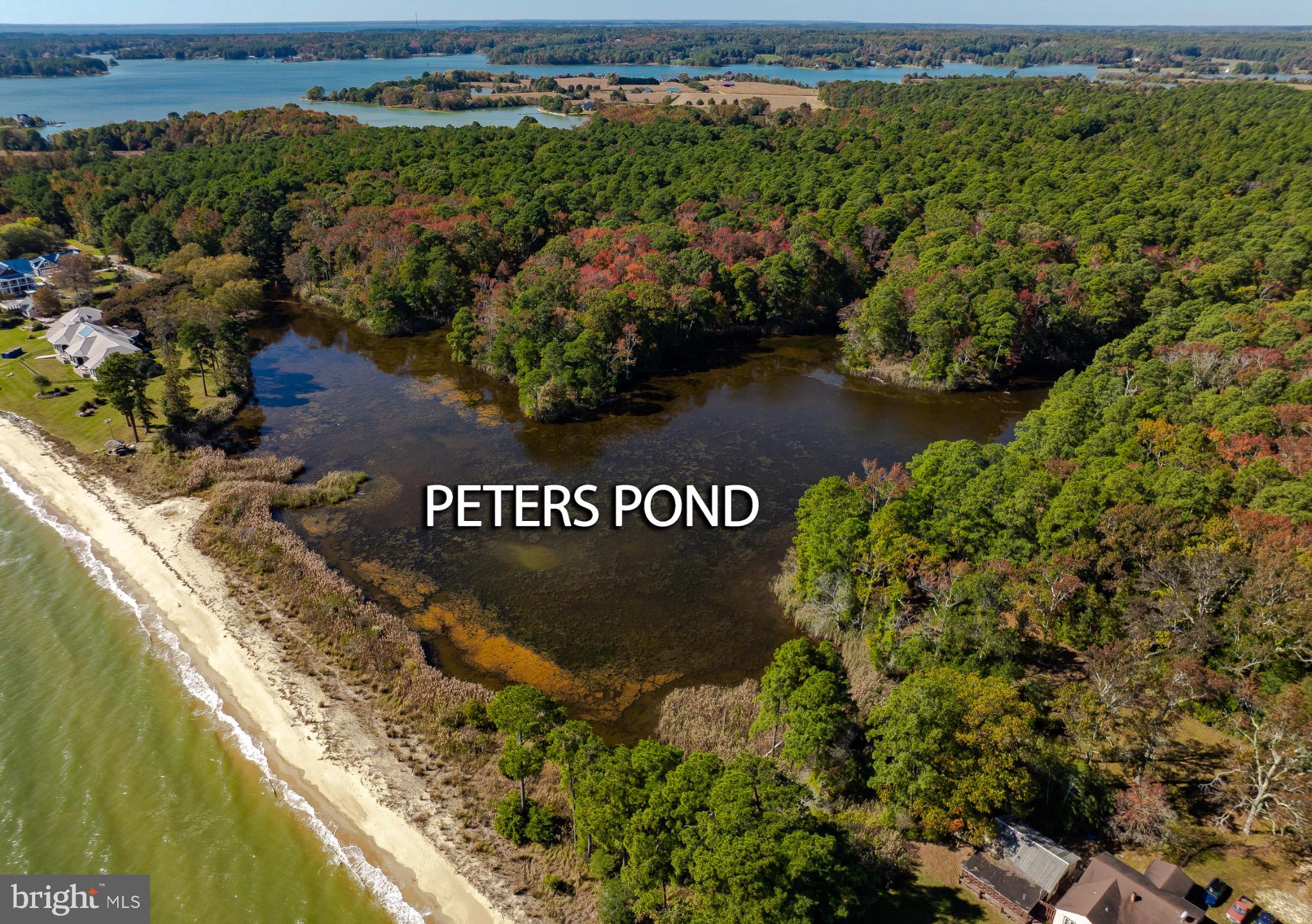 50645 Holly Point Road Dameron, MD 20628 - Photo 40 of 99