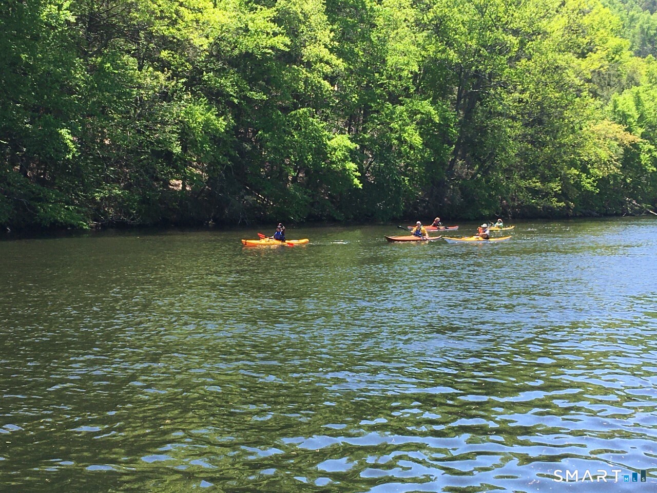 4 Shady Rest Boulevard Newtown, CT 06482 - Photo 34 of 34 a backyard of a house with lots of green space
