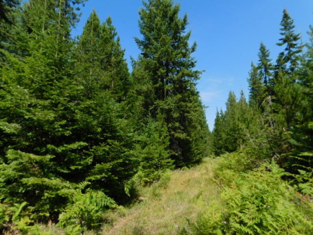 Tdb Deer Valley Road Newport, WA 99156 - Photo 1 of 14 Gallery Image 1