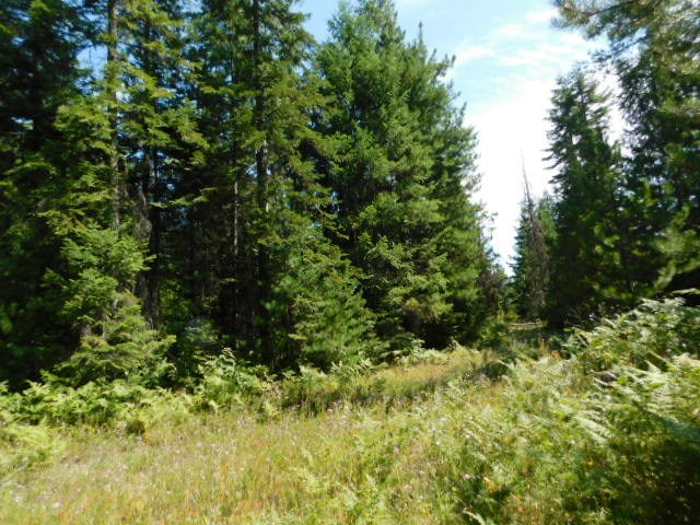 Tdb Deer Valley Road Newport, WA 99156 - Photo 6 of 14 Gallery Image 6