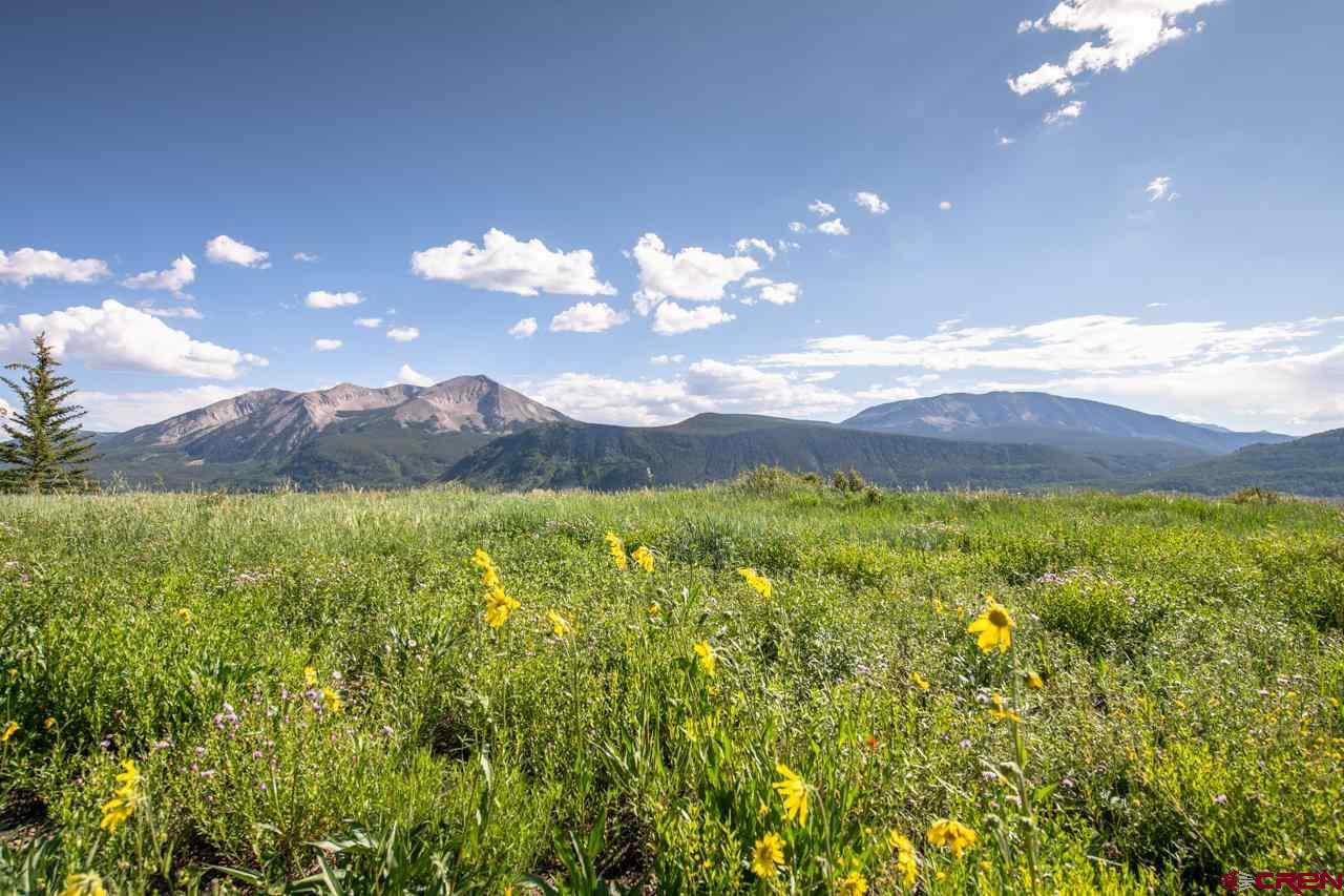 4 Ridge Lane Crested Butte, CO 81225 - Photo 1 of 25
