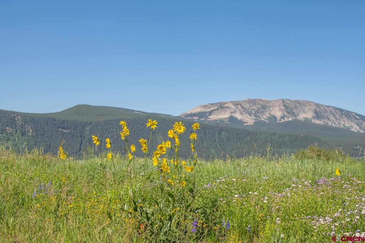 4 Ridge Lane Crested Butte, CO 81225 - Photo 11 of 25
