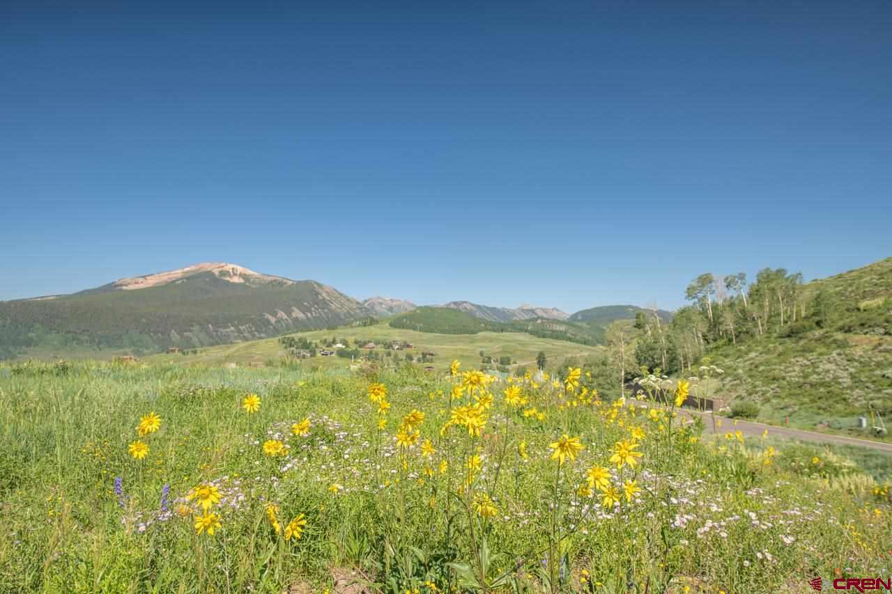 4 Ridge Lane Crested Butte, CO 81225 - Photo 15 of 25