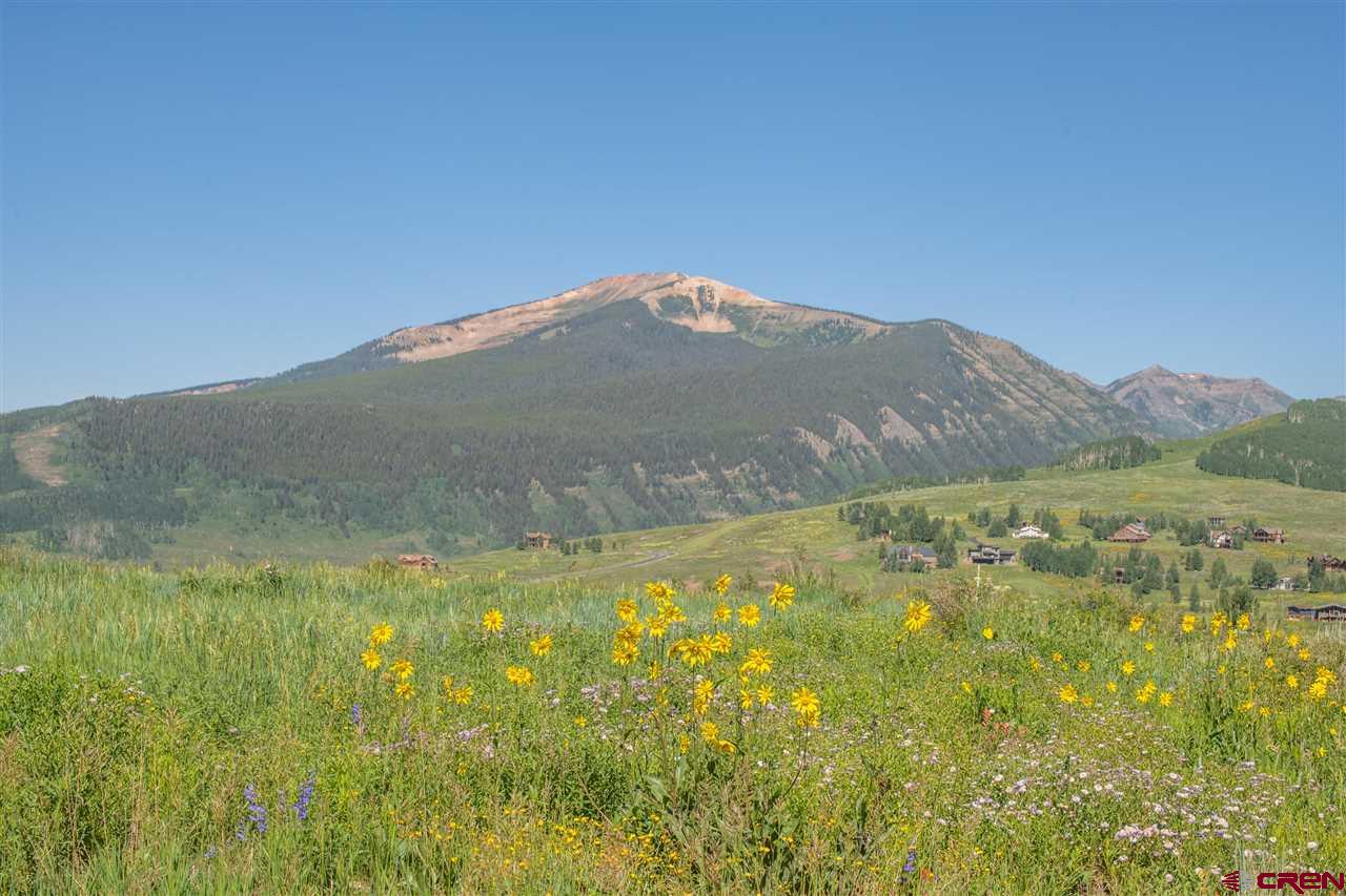 4 Ridge Lane Crested Butte, CO 81225 - Photo 3 of 25
