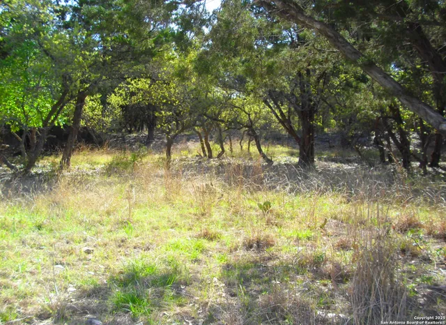 $125,000 | 2024 Farm To Market Road 3424, Canyon Lake, TX 78133