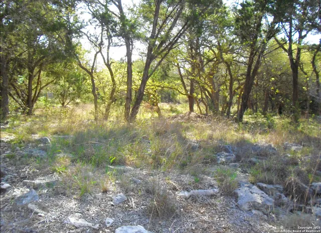 $125,000 | 2024 Farm To Market Road 3424, Canyon Lake, TX 78133
