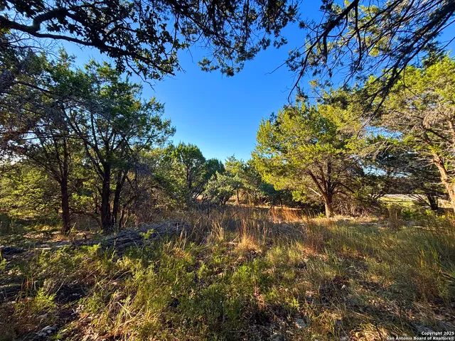$125,000 | 2024 Farm To Market Road 3424, Canyon Lake, TX 78133