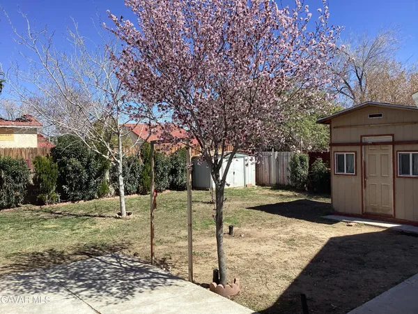 a view of a yard with large tree