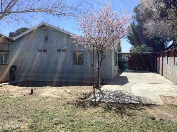 a view of a yard with trees