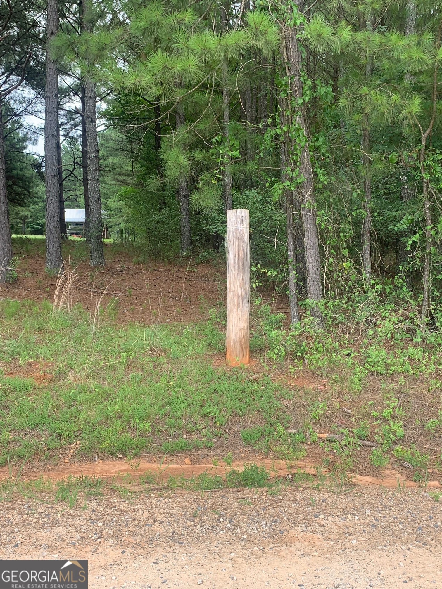 5.008-ac Digby Road, Unit TRACT II Covington, GA 30014 - Photo 5 of 6 Left front corner of tract