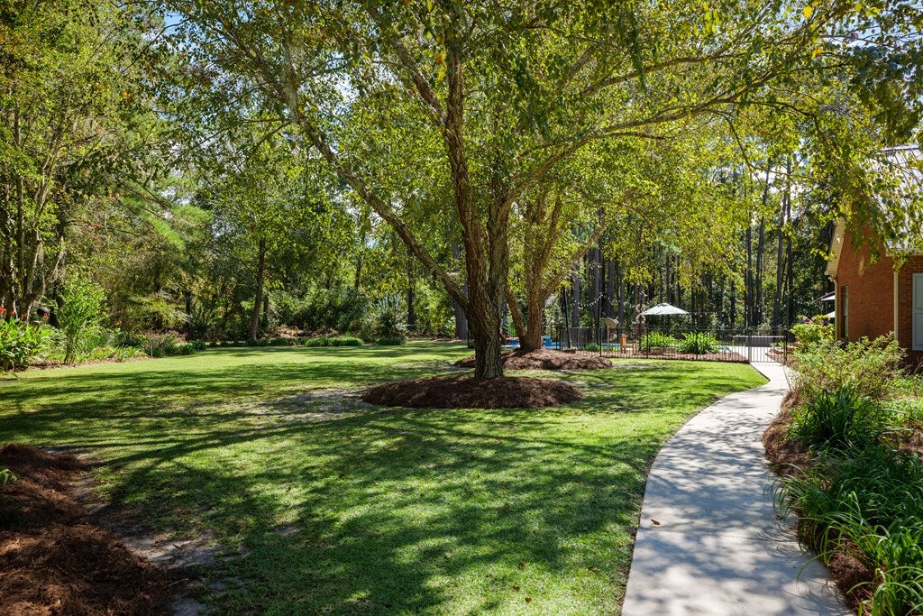 6310 Peters Road Ray City, GA 31645 - Photo 66 of 69 Gallery Image 66