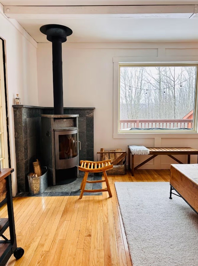 903 Dimmick Mountain Road Denver, NY 12421 - Photo 9 of 43