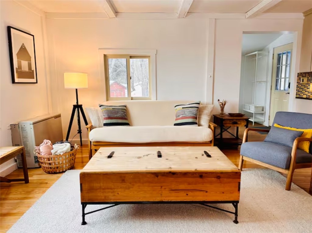 903 Dimmick Mountain Road Denver, NY 12421 - Photo 10 of 43