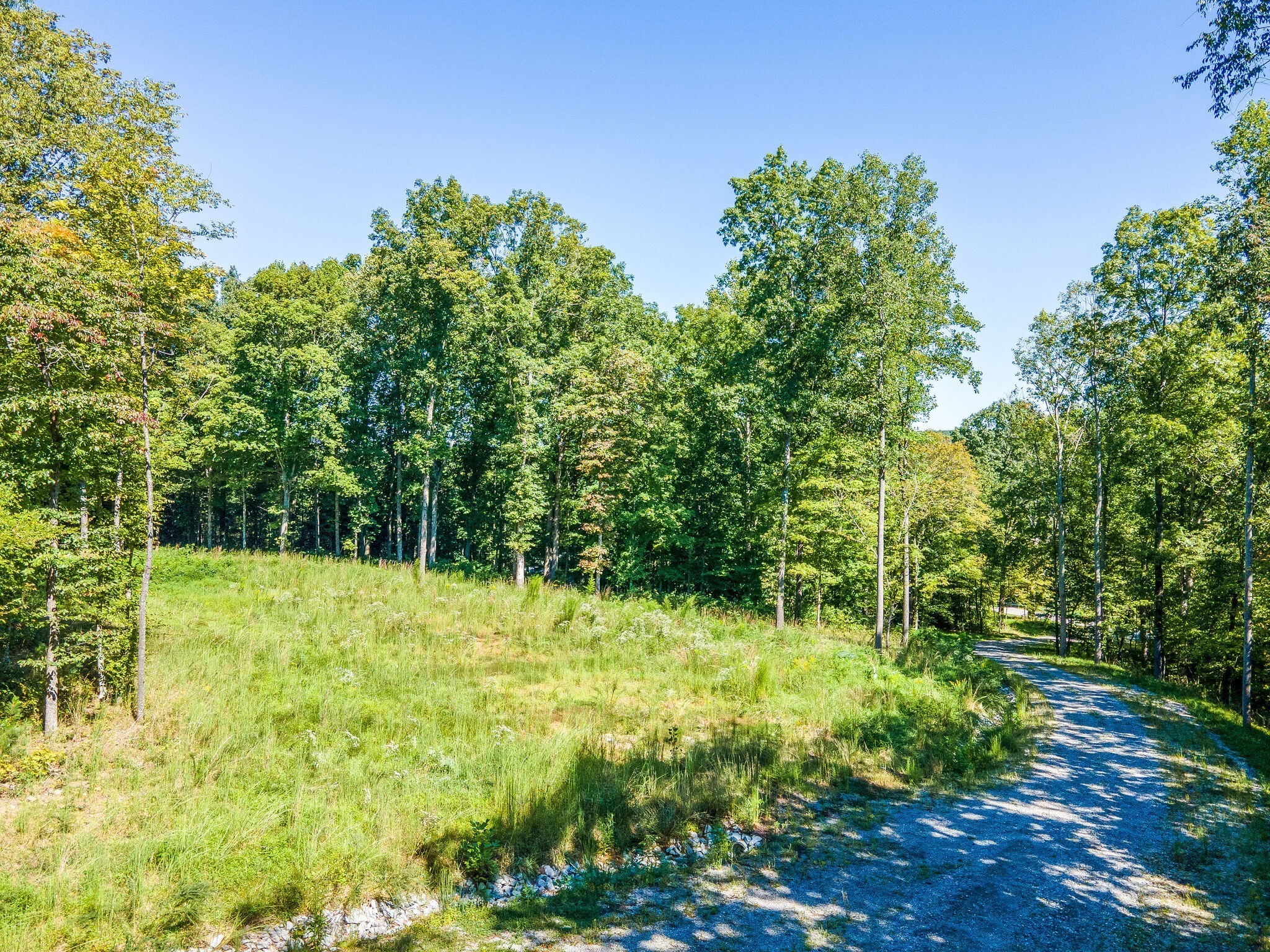 7483 Liberty Road Fairview, TN 37062 - Photo 56 of 65 a view of outdoor space with a garden