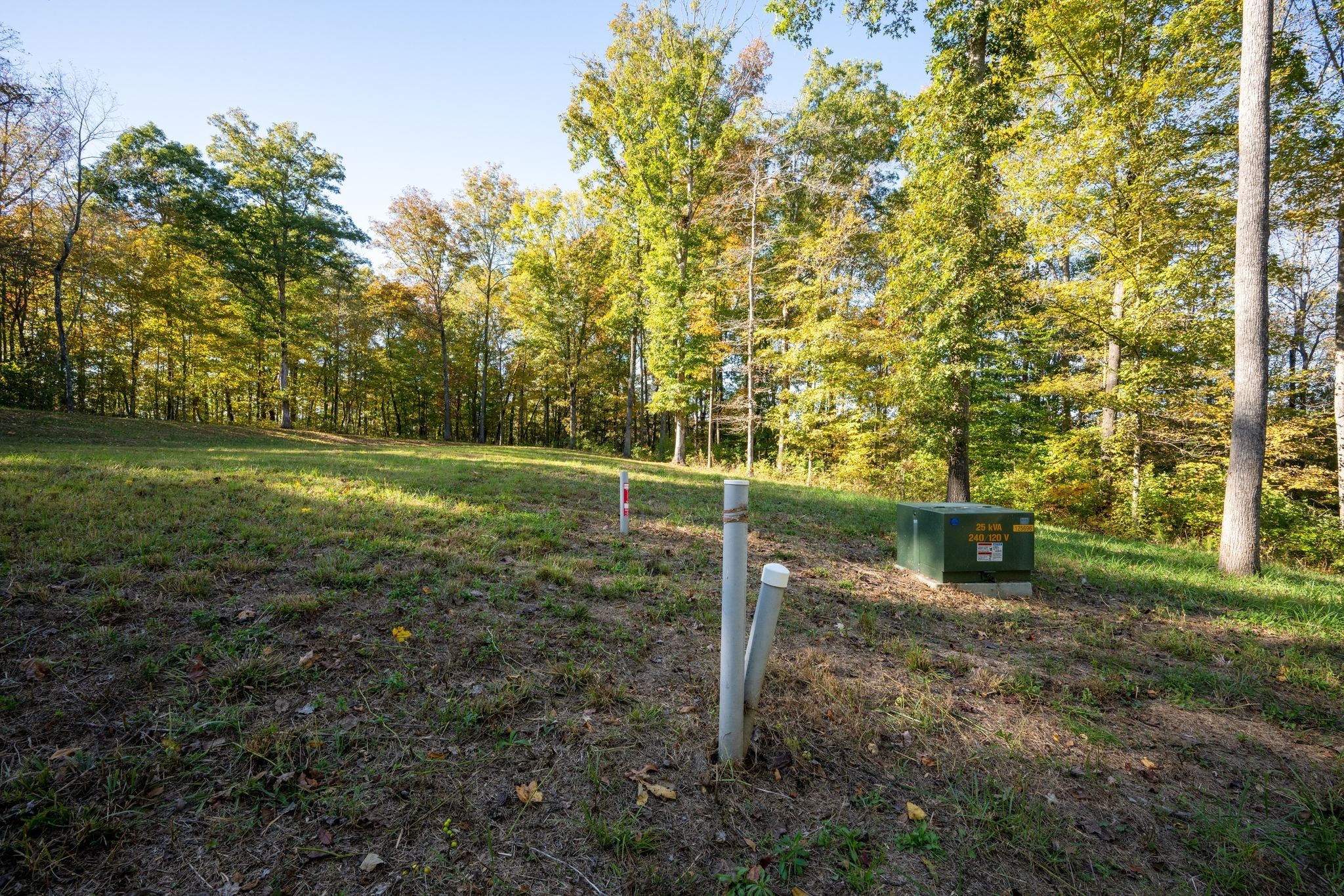 7483 Liberty Road Fairview, TN 37062 - Photo 58 of 65 a view of a park