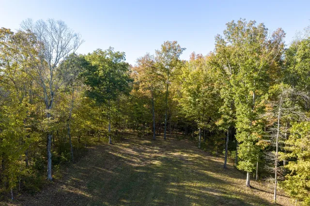 $1,398,000 | 7483 Liberty Road, Fairview, TN 37062