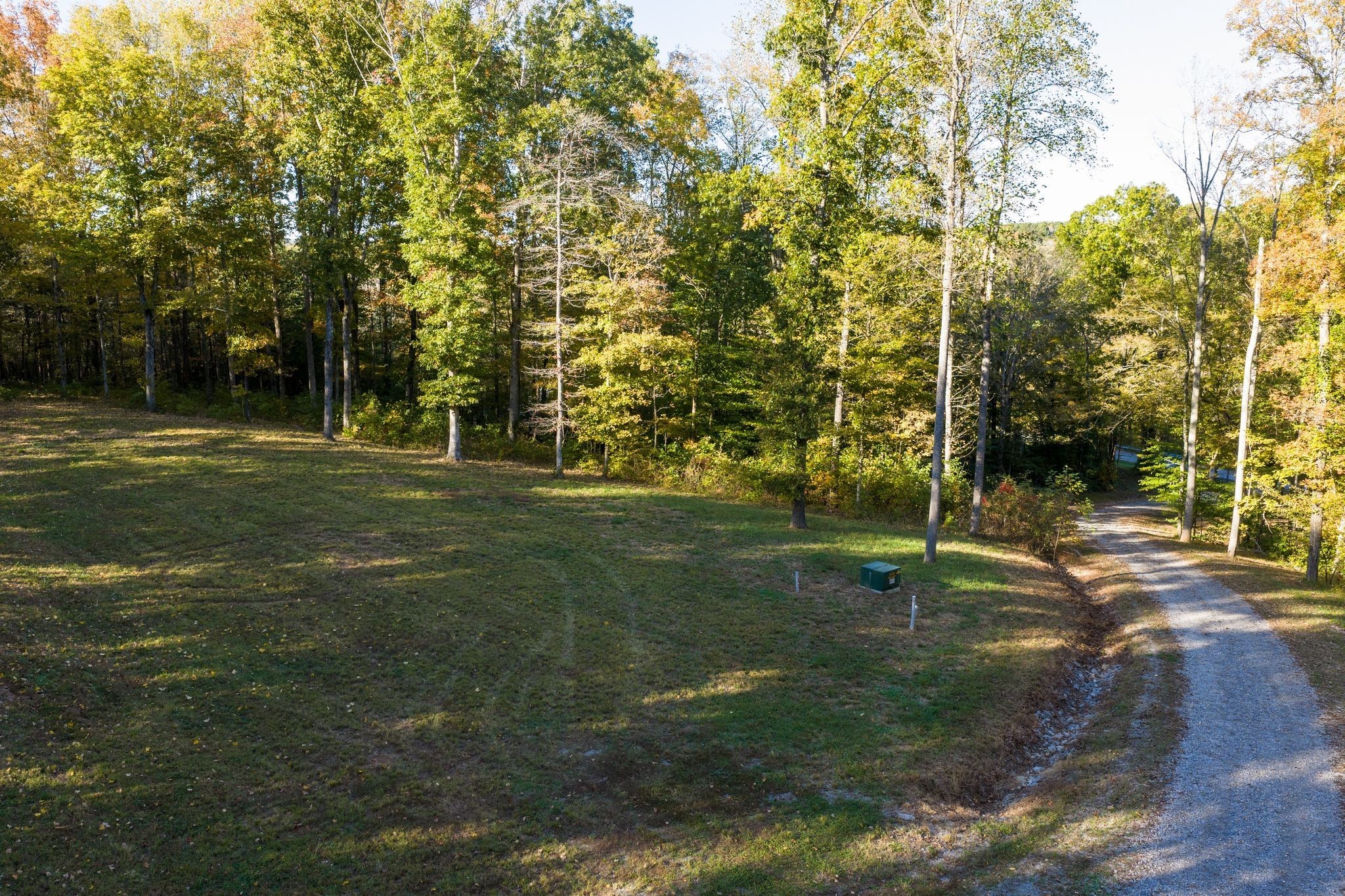 7483 Liberty Road Fairview, TN 37062 - Photo 62 of 65 a view of a tree in a yard