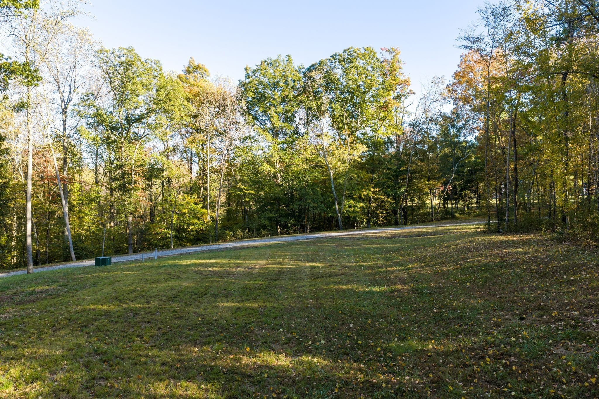 7483 Liberty Road Fairview, TN 37062 - Photo 64 of 65 a view of a field with trees