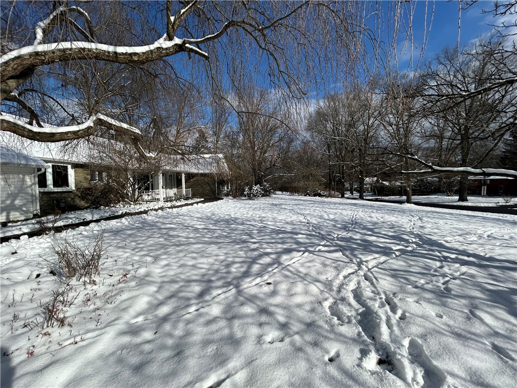862 Fassett Road Elmira, NY 14905 - Photo 25 of 37 Front Yard