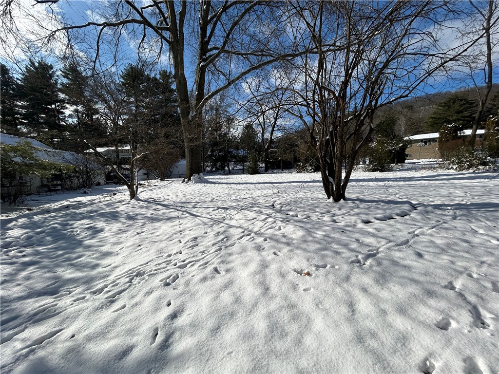 862 Fassett Road Elmira, NY 14905 - Photo 31 of 37 Back Yard
