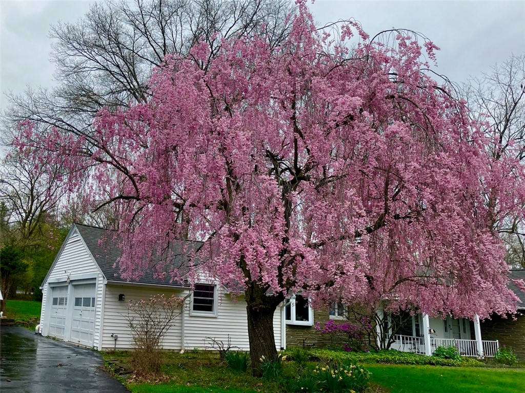 862 Fassett Road Elmira, NY 14905 - Photo 35 of 37