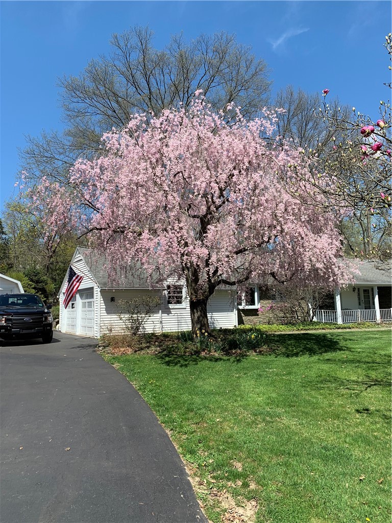 862 Fassett Road Elmira, NY 14905 - Photo 36 of 37