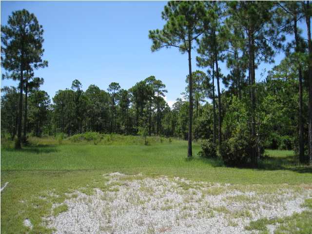 897 North Church Street Santa Rosa Beach, FL 32459 - Photo 13 of 13 Gallery Image 13