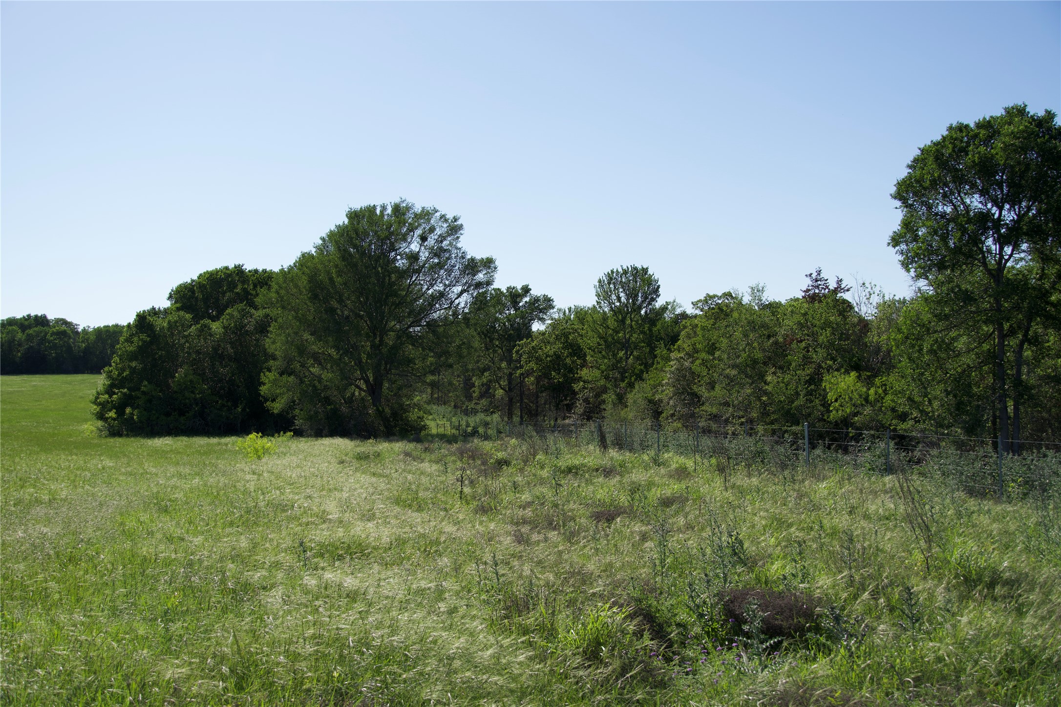 Tbd Tbd Street Paige, TX 78659 - Photo 8 of 14 View of nature featuring rural landscape