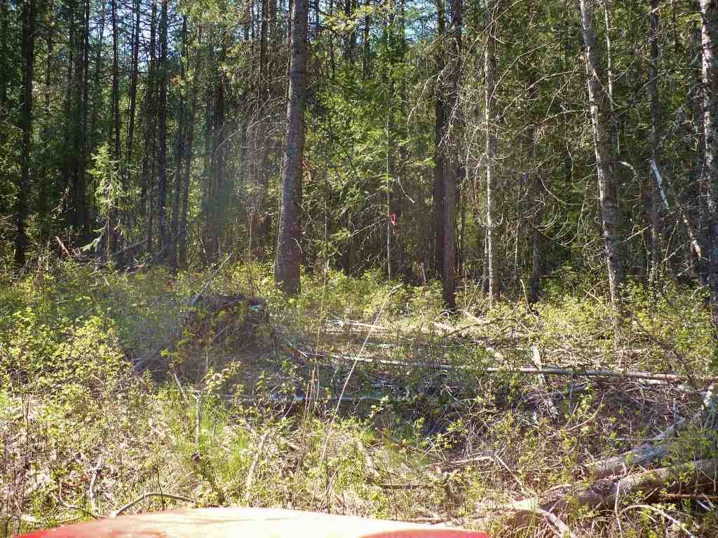 4213 Lumberg Road Springdale, WA 99173 - Photo 14 of 20