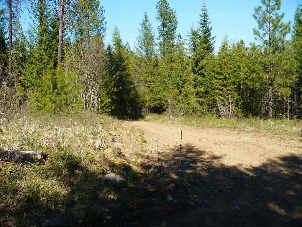 4213 Lumberg Road Springdale, WA 99173 - Photo 10 of 20
