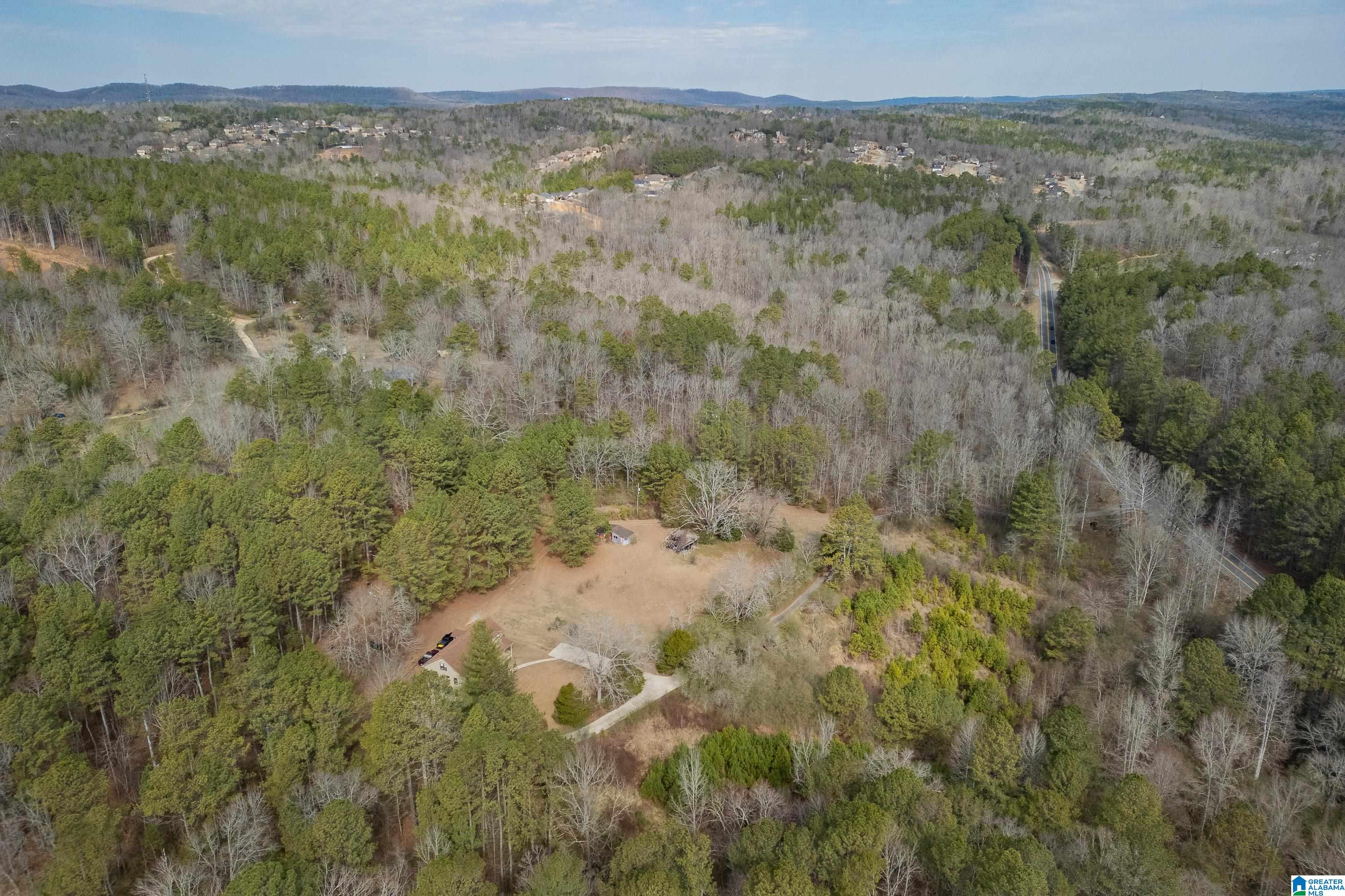 2050 Argo Margaret Road Odenville, AL 35120 - Photo 32 of 61
