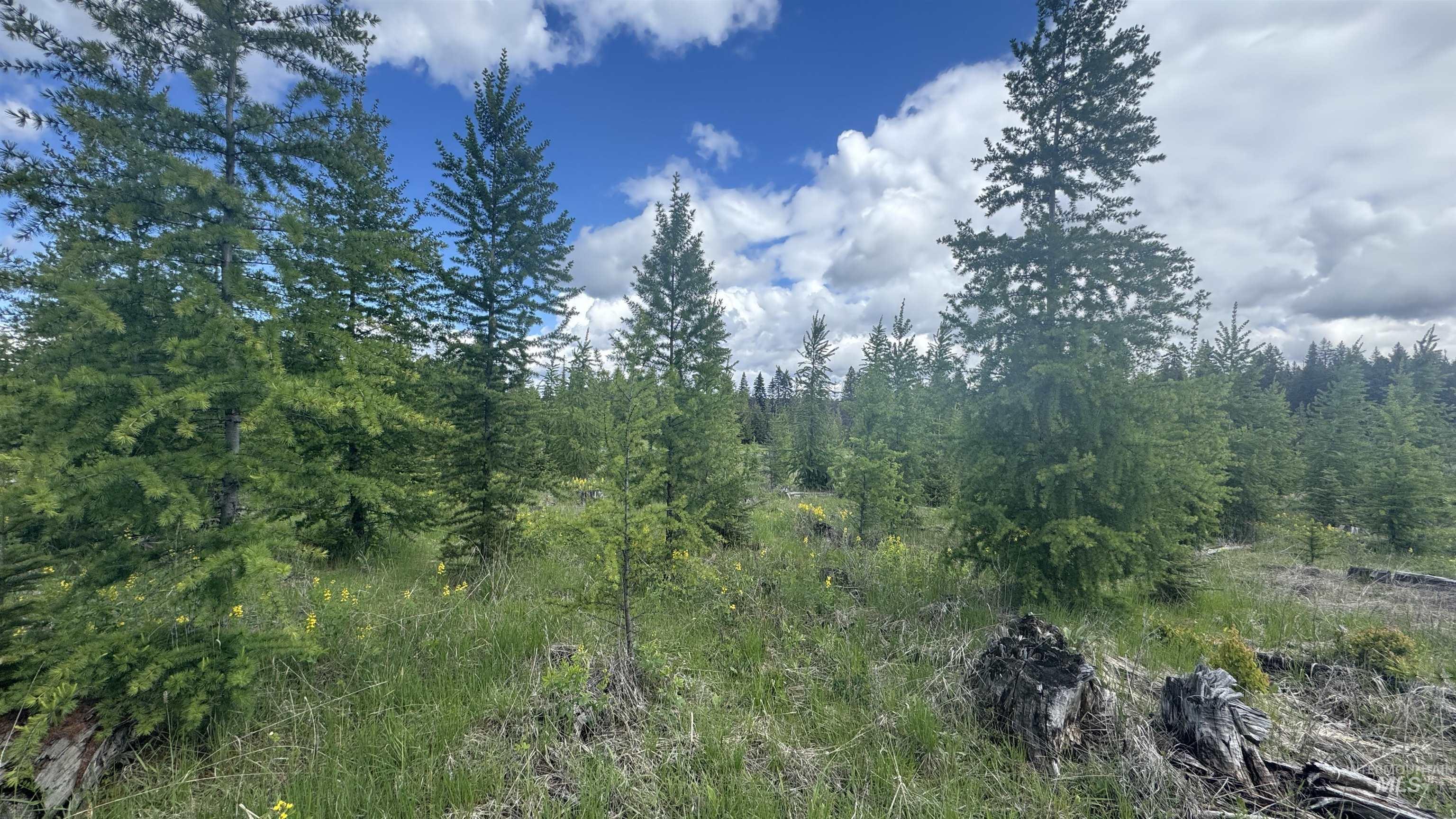 Tbd Upper Fords Creek Road Orofino, ID 83544 - Photo 11 of 24