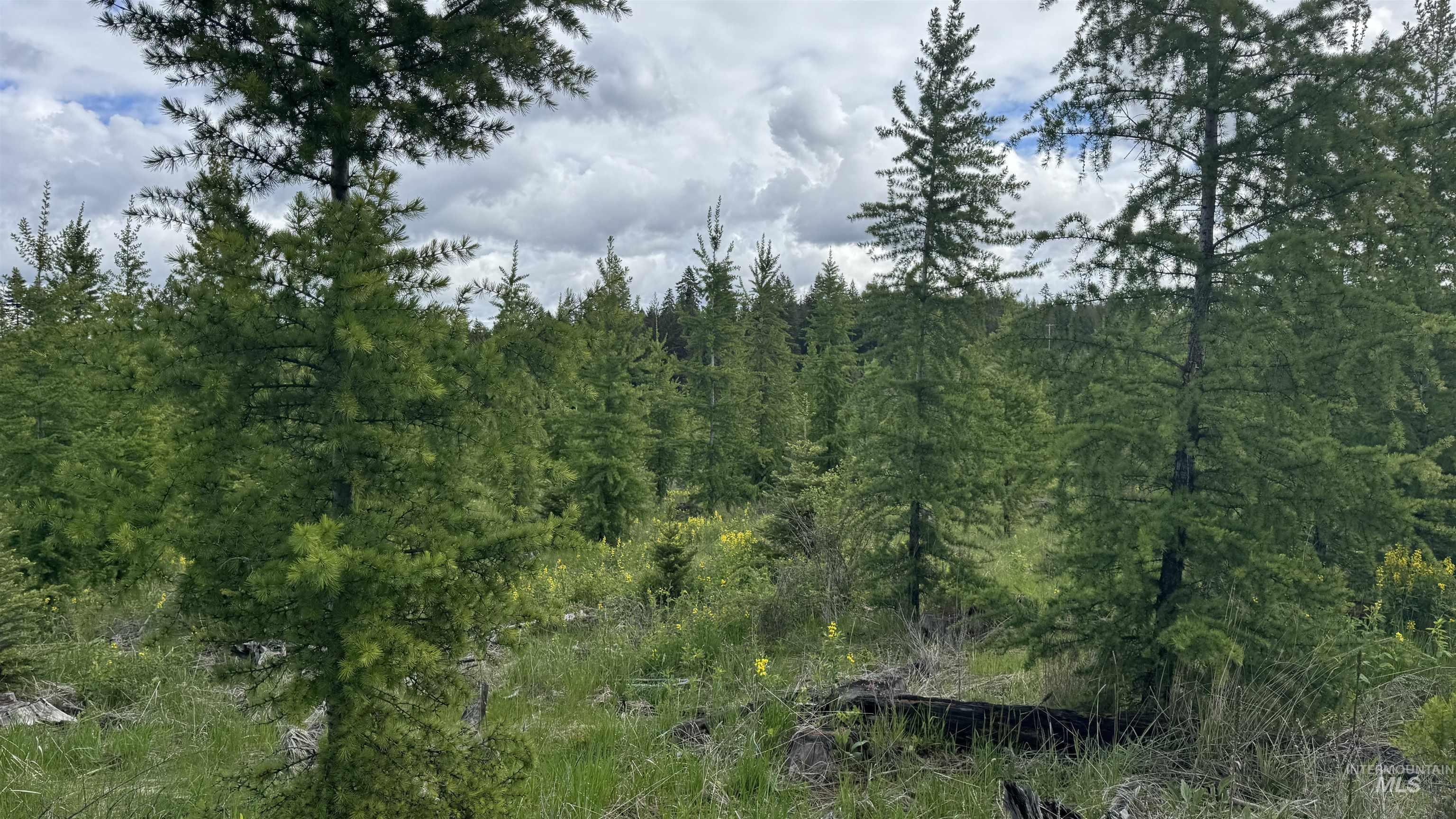 Tbd Upper Fords Creek Road Orofino, ID 83544 - Photo 13 of 24