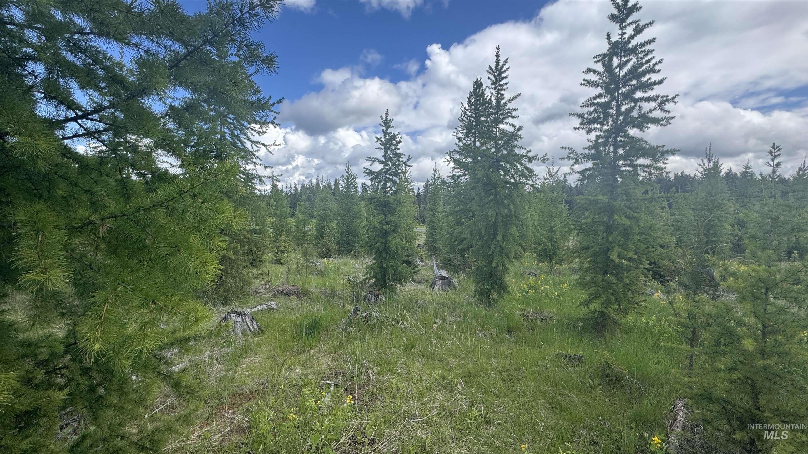 Tbd Upper Fords Creek Road Orofino, ID 83544 - Photo 14 of 24