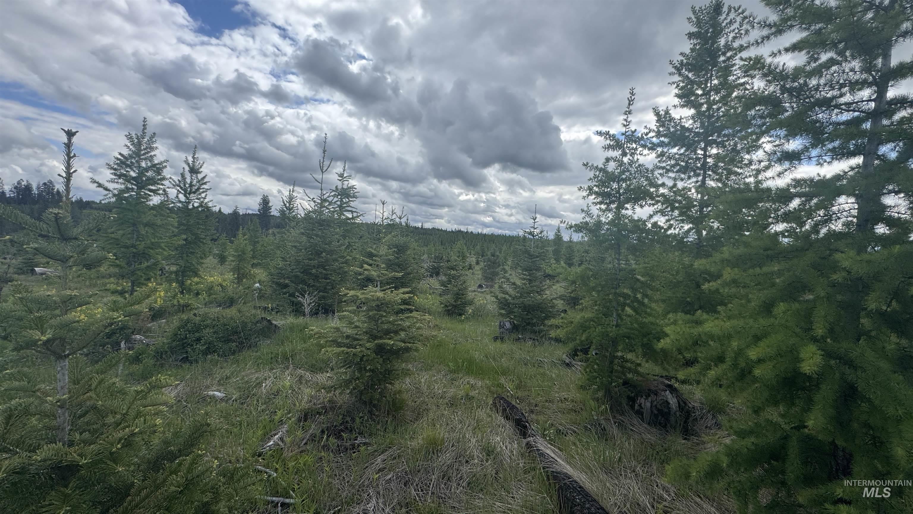 Tbd Upper Fords Creek Road Orofino, ID 83544 - Photo 18 of 24