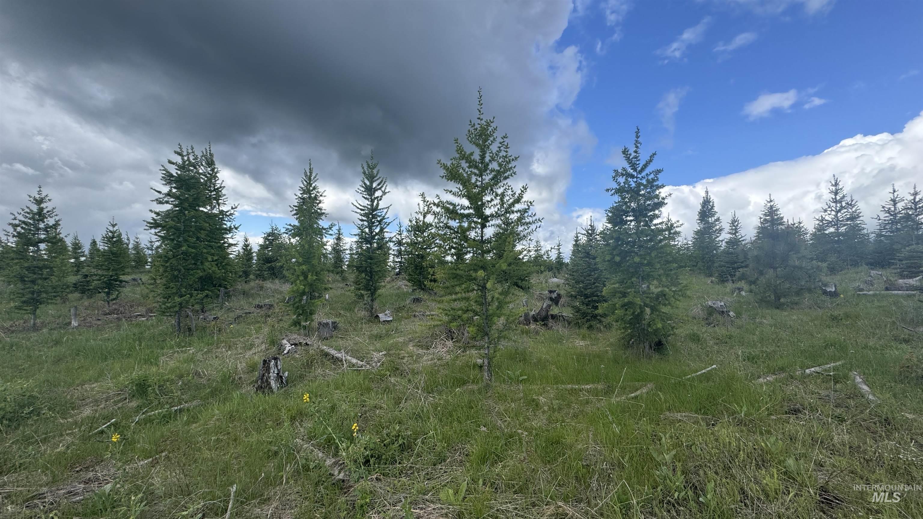 Tbd Upper Fords Creek Road Orofino, ID 83544 - Photo 20 of 24