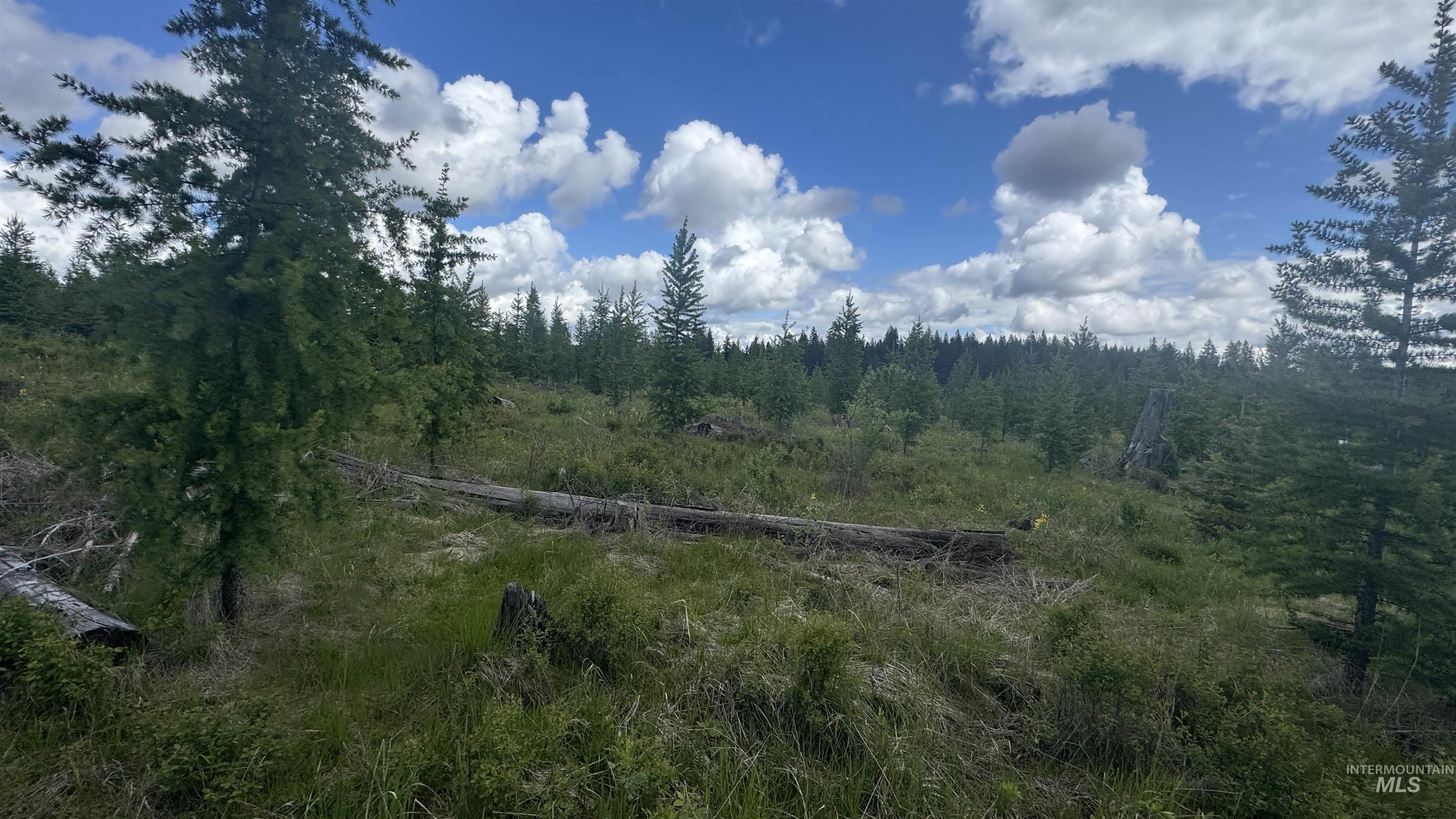 Tbd Upper Fords Creek Road Orofino, ID 83544 - Photo 21 of 24