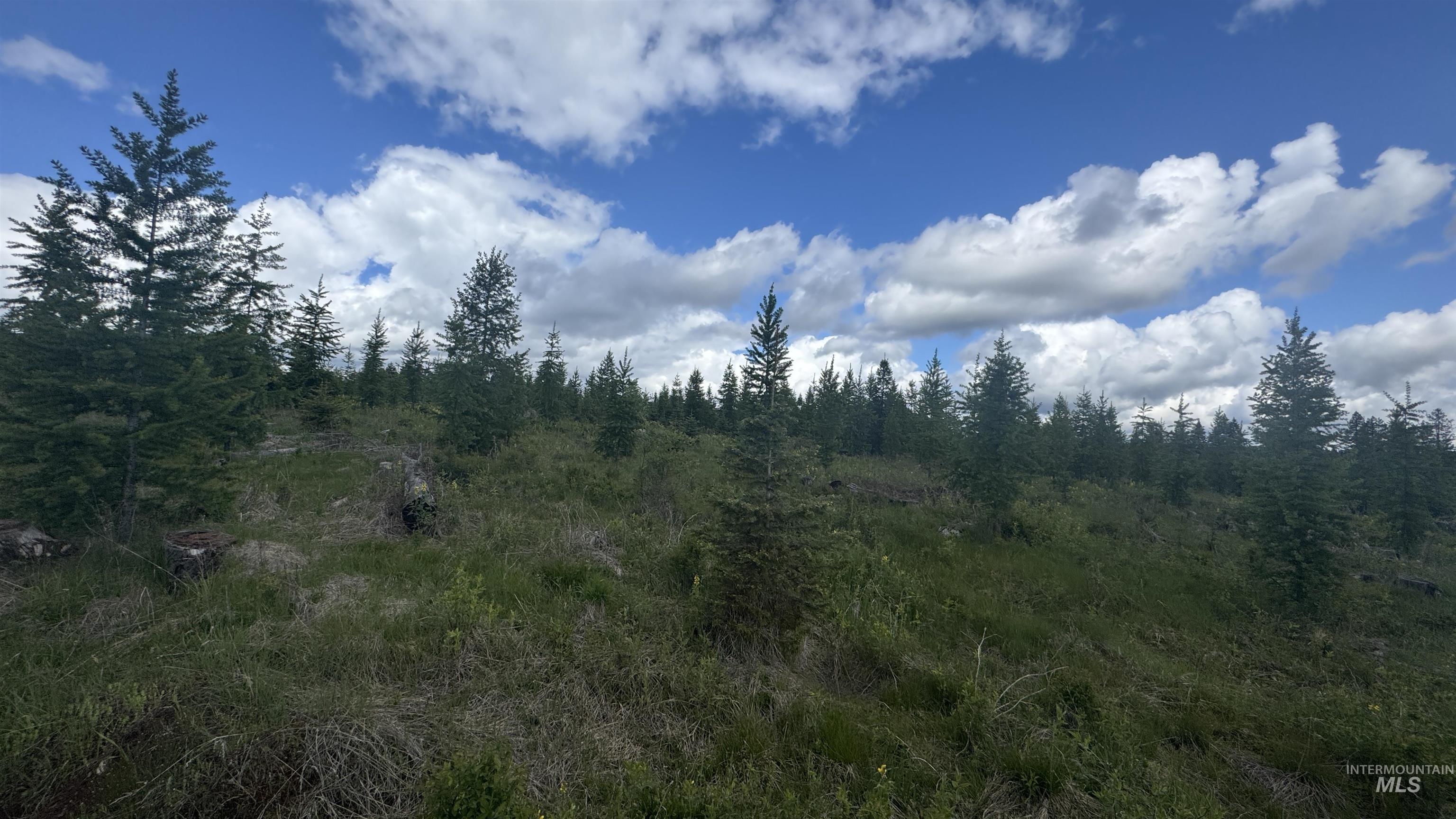 Tbd Upper Fords Creek Road Orofino, ID 83544 - Photo 22 of 24