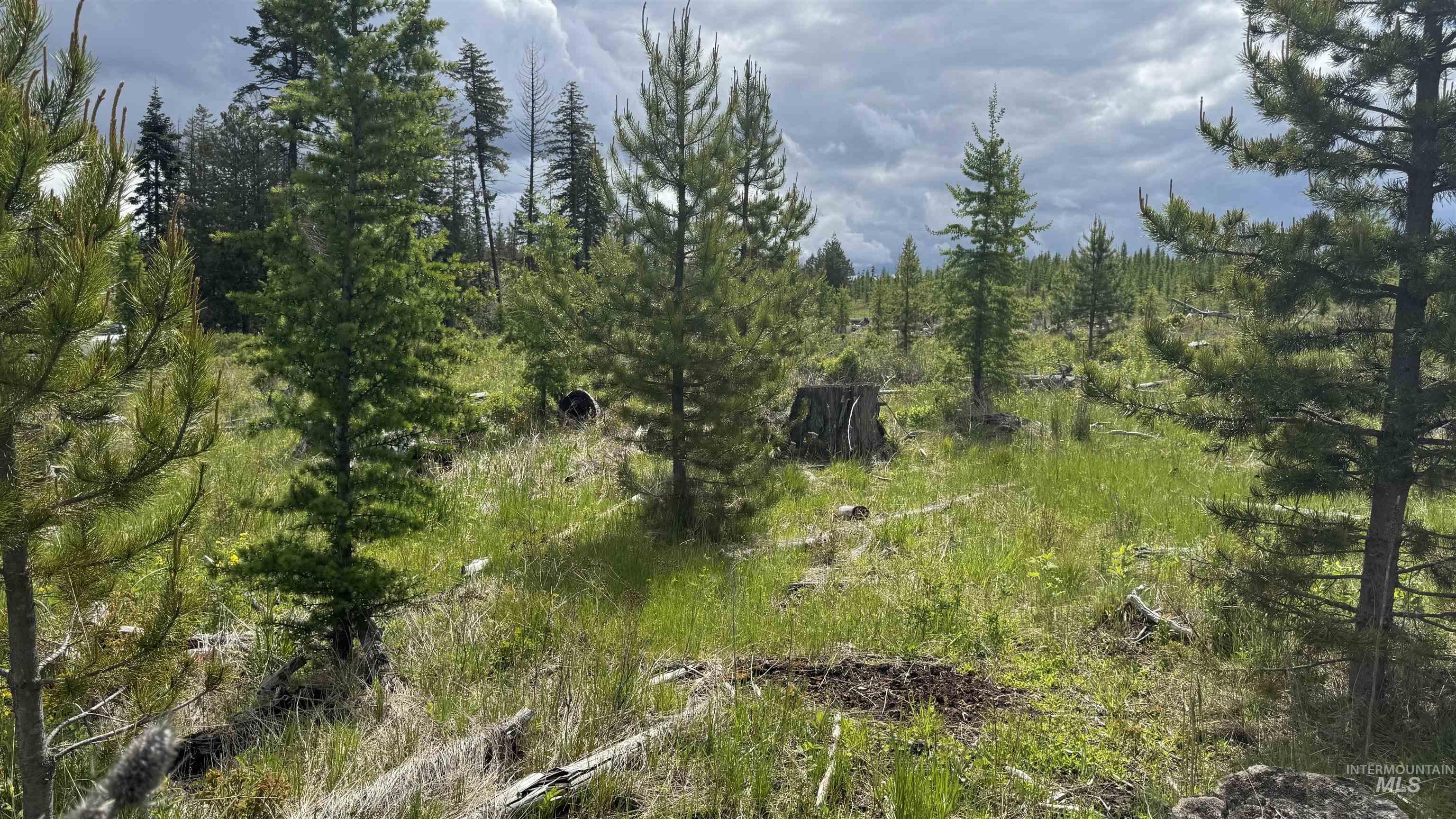 Tbd Upper Fords Creek Road Orofino, ID 83544 - Photo 23 of 24